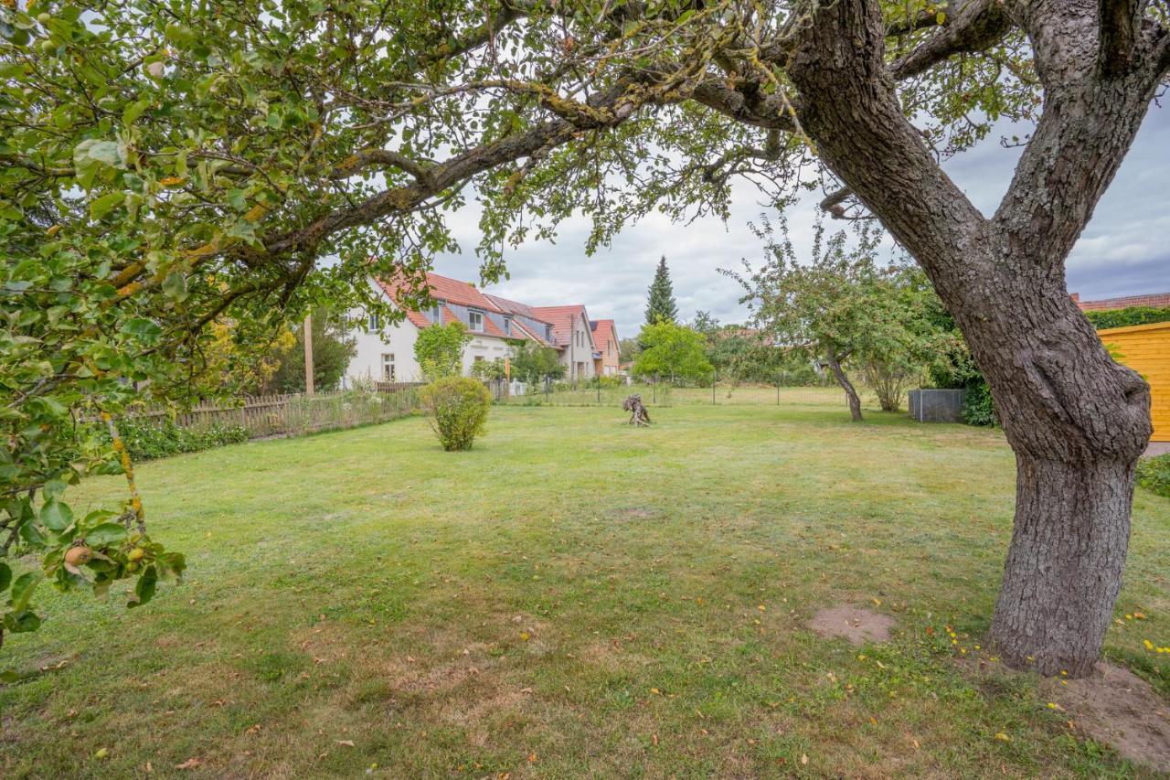 Ferienhaus "Seeadler" In Rankwitz Am Peenestrom Zewnętrze zdjęcie