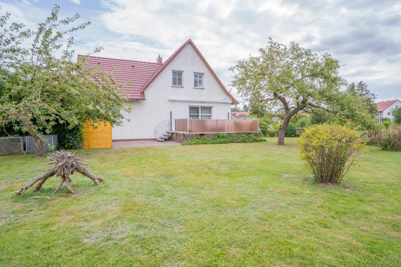 Ferienhaus "Seeadler" In Rankwitz Am Peenestrom Zewnętrze zdjęcie